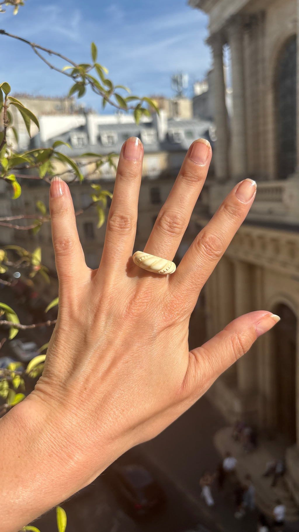 Bague en os